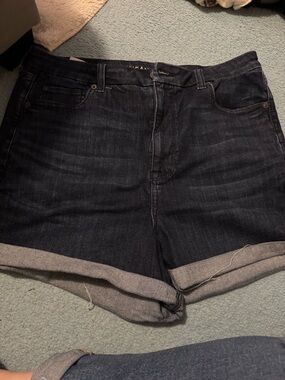 American Eagle Outfitters Dark Indigo Denim Jean Shorts